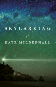 Screen Shot 2017-08-13 at 3.54.33 pm